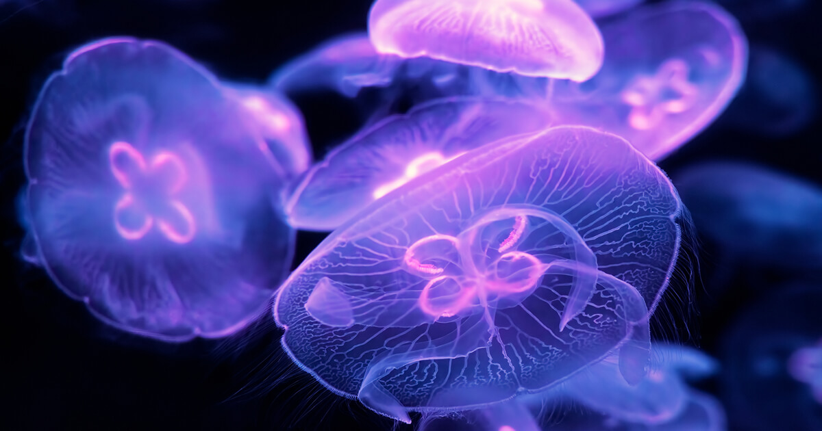 Sustainable investing capabilities